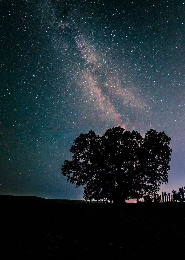 Photograph by Андрей Горюнов