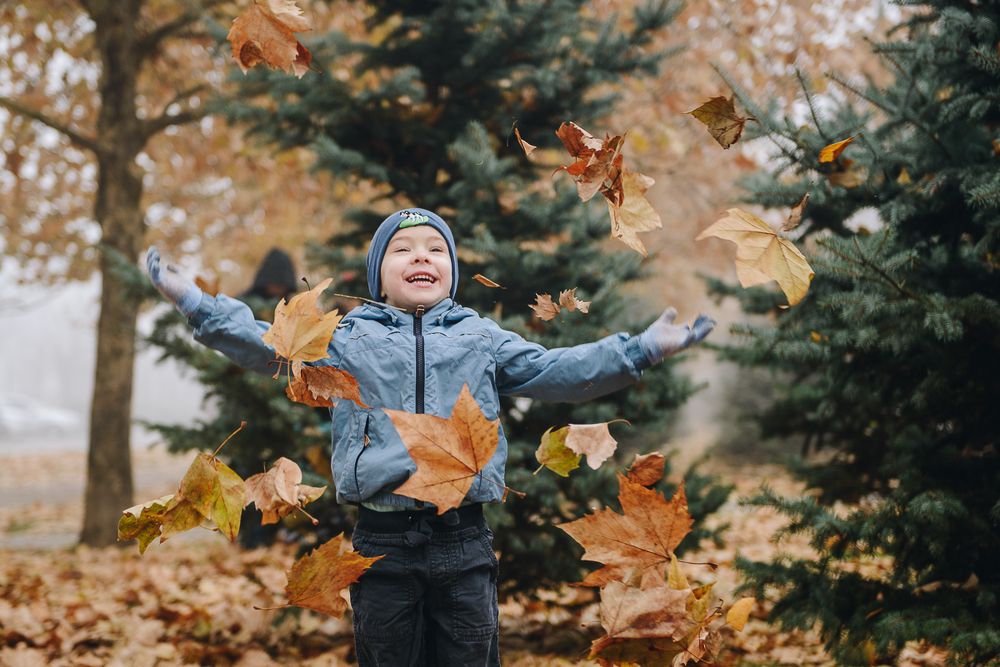 Повелитель листьев