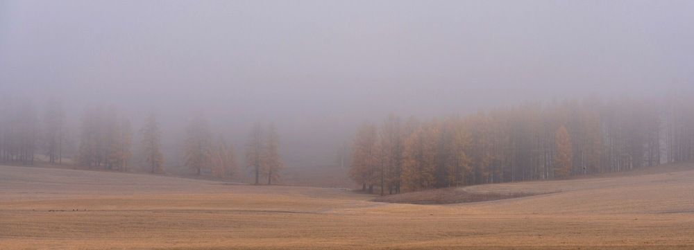 Алтай. Осенние туманы по дороге в Усть-Коксу.