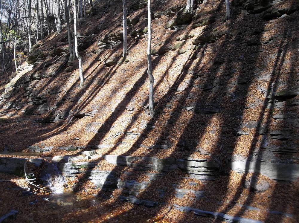 Горски сенки