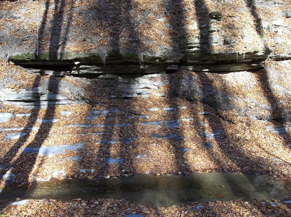 Горски сенки