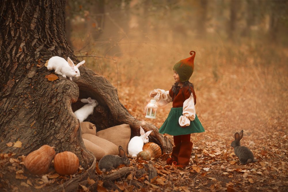 В волшебном лесу