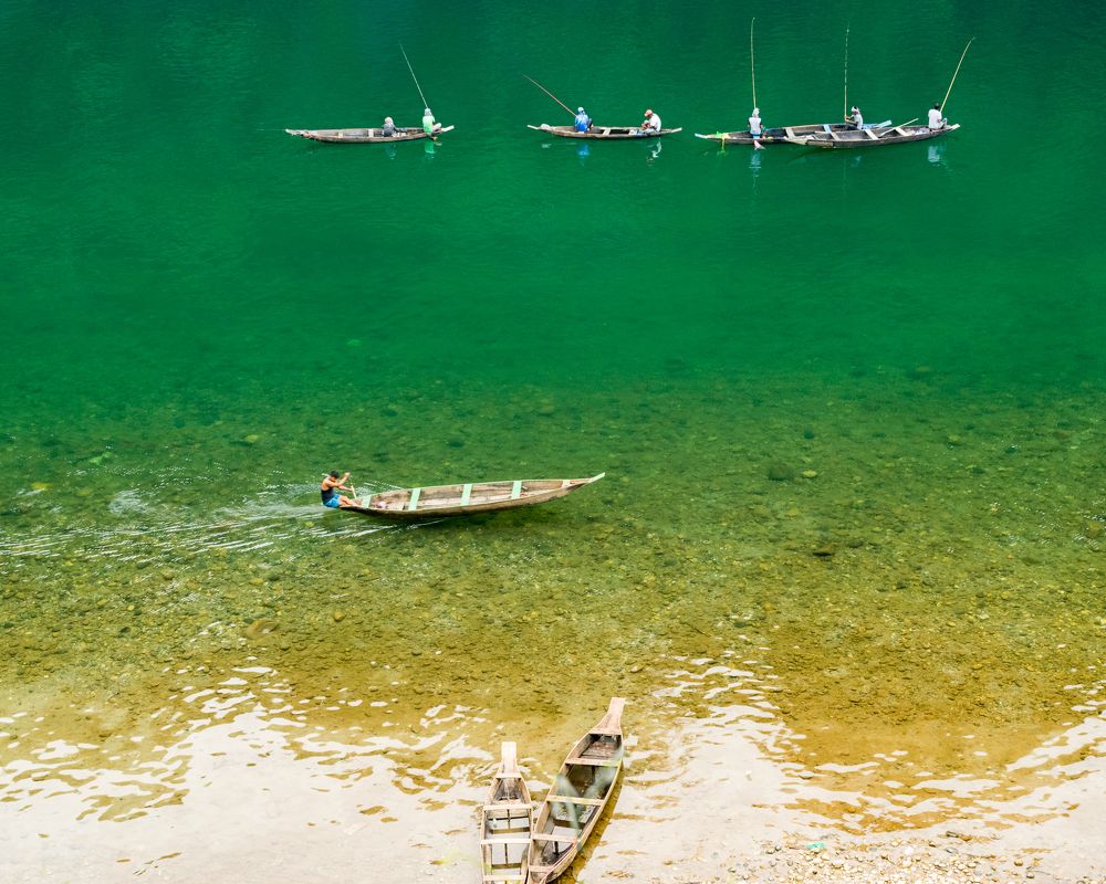 laid back vs concerned