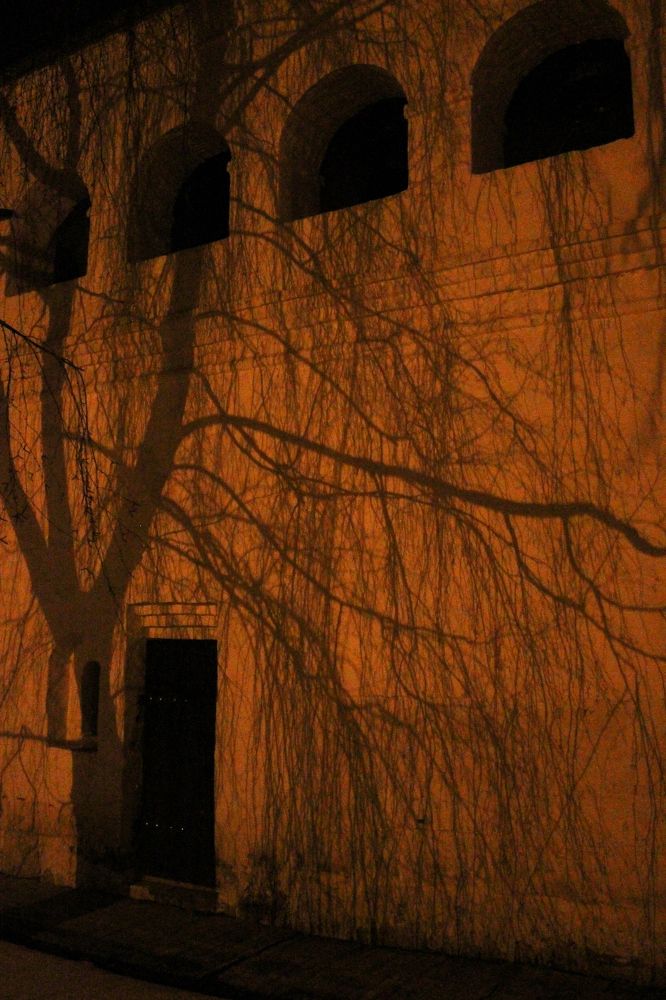 Photograph by Анастасия