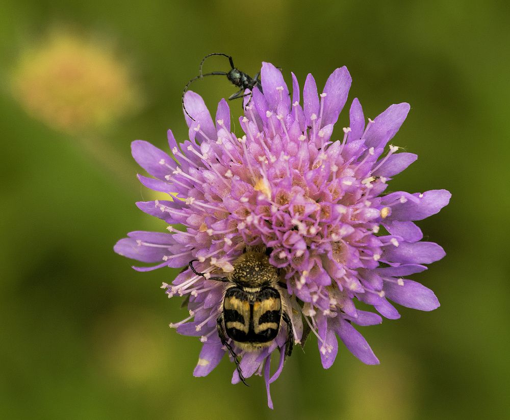 Конкуренция