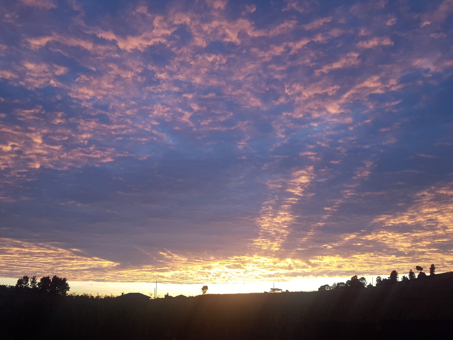 Sunrise
