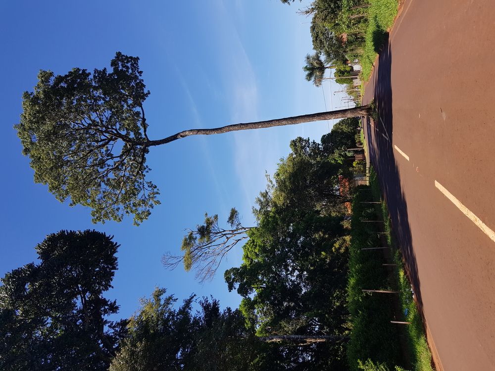 Respetando la Naturaleza
