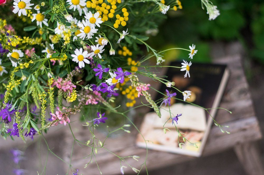 Фотография автора Tatjana Mikhina