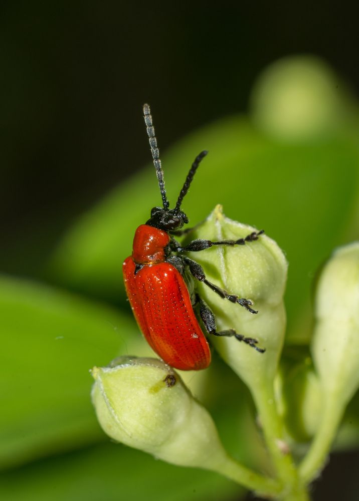 Photograph by slavka