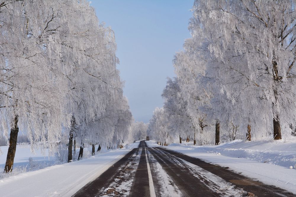 Морозное утро.
