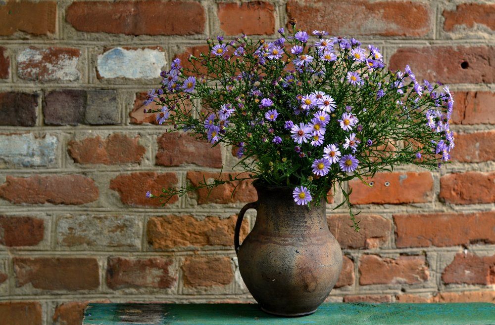 Photograph by Елена Боржковская