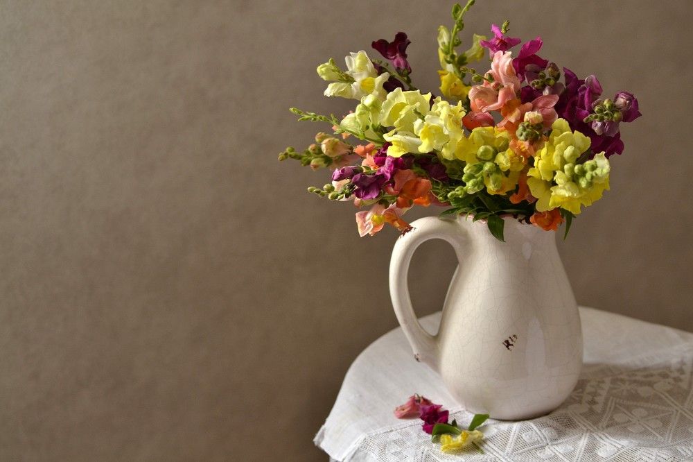 Photograph by Елена Боржковская