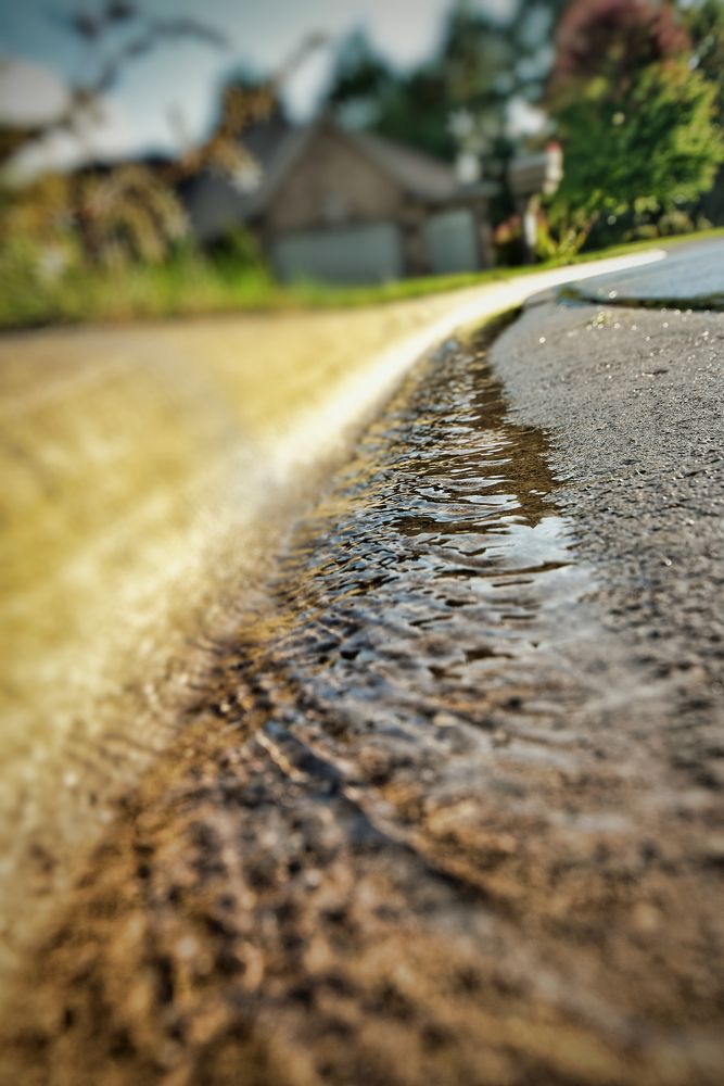 Little river runs along curb