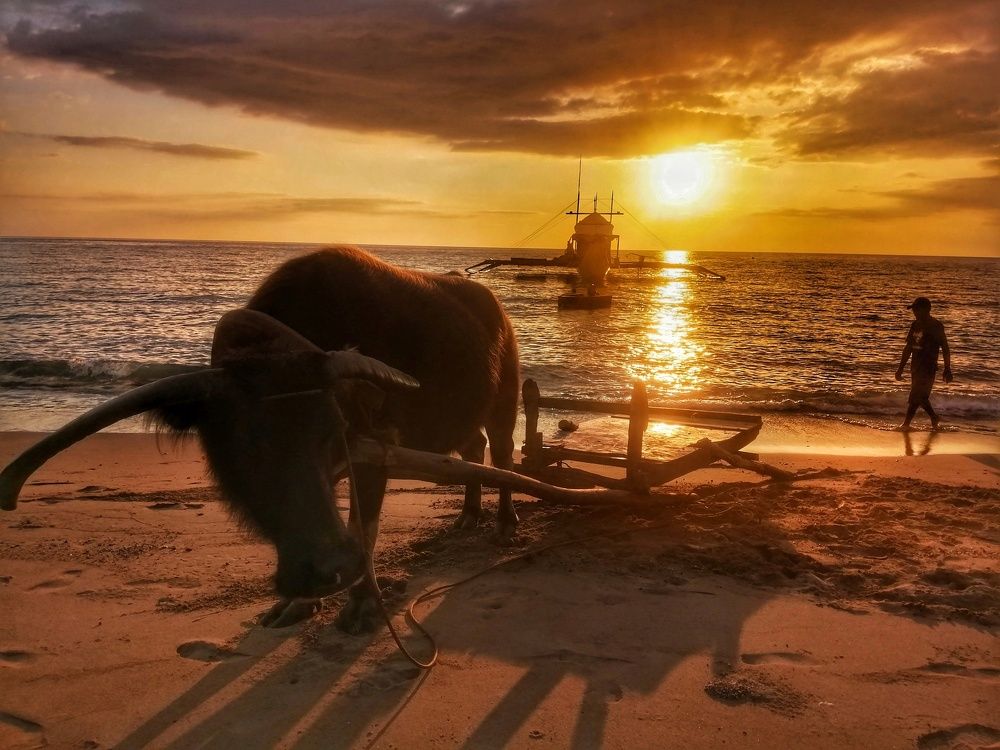 The Famous of Mindoro Philippines