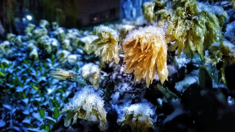 Photograph by Максим Пинчук