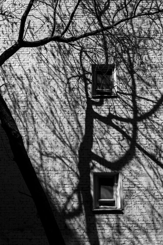 Photograph by Андрей Кульков