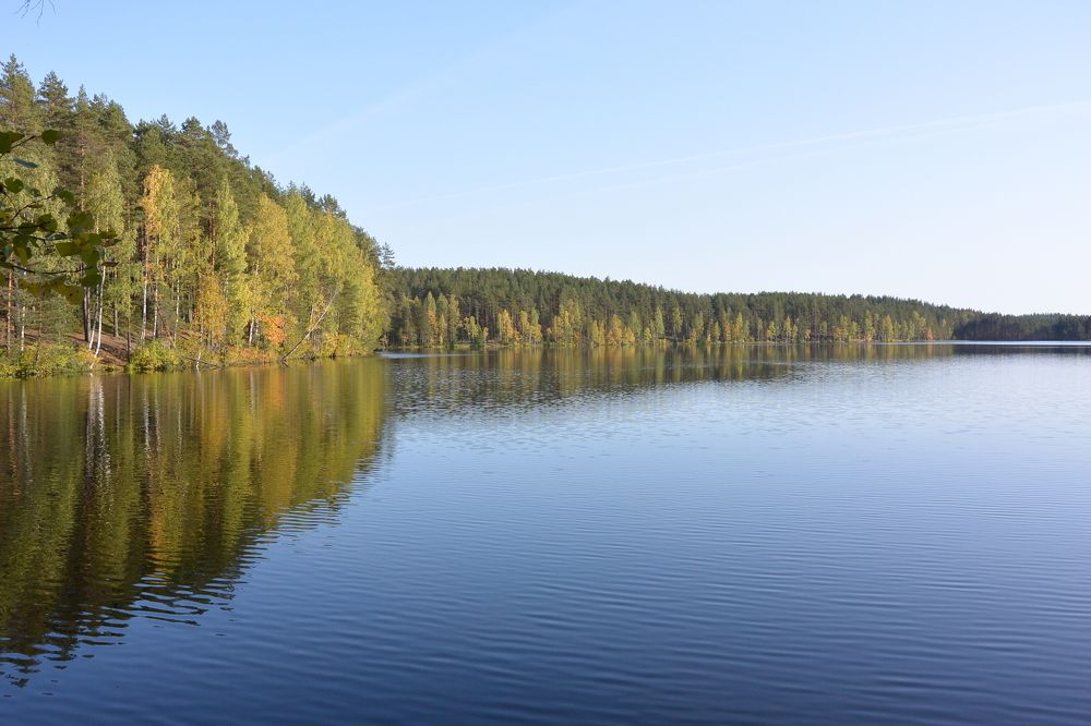 Фотография автора Dimitrii Aristoff