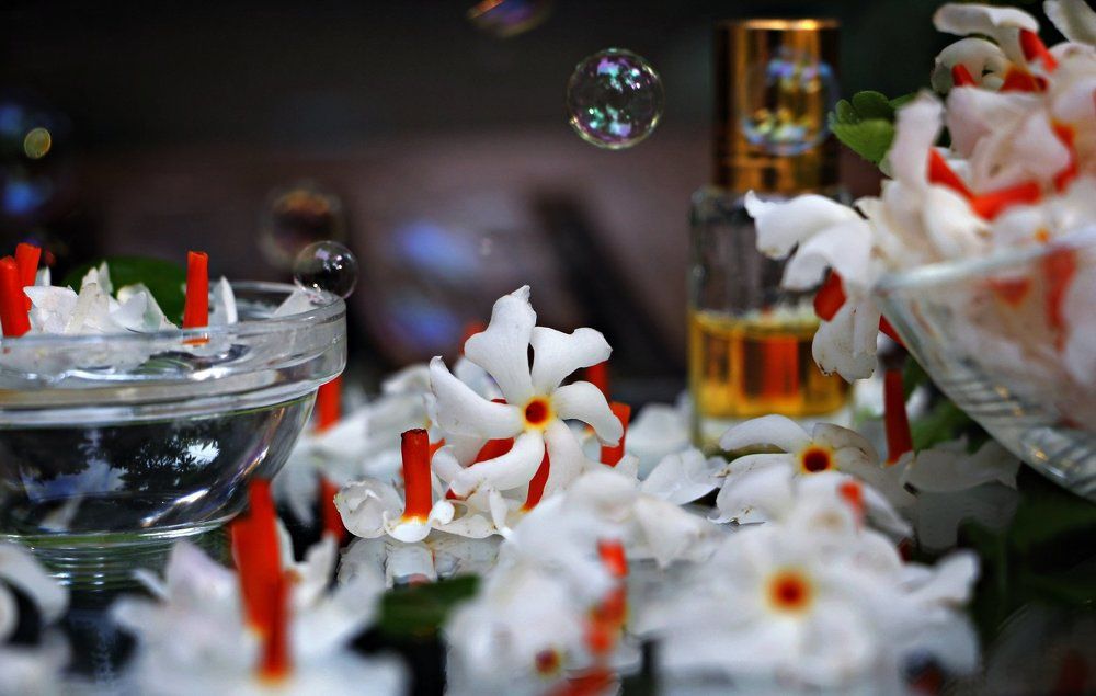 Beauty of night jasmine