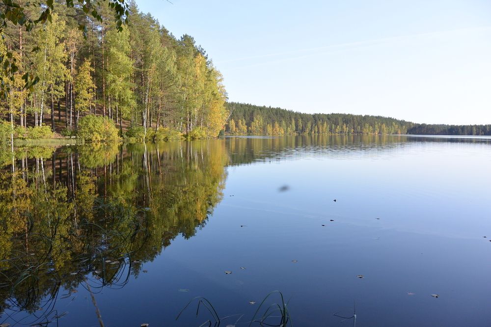 Фотография автора Dimitrii Aristoff