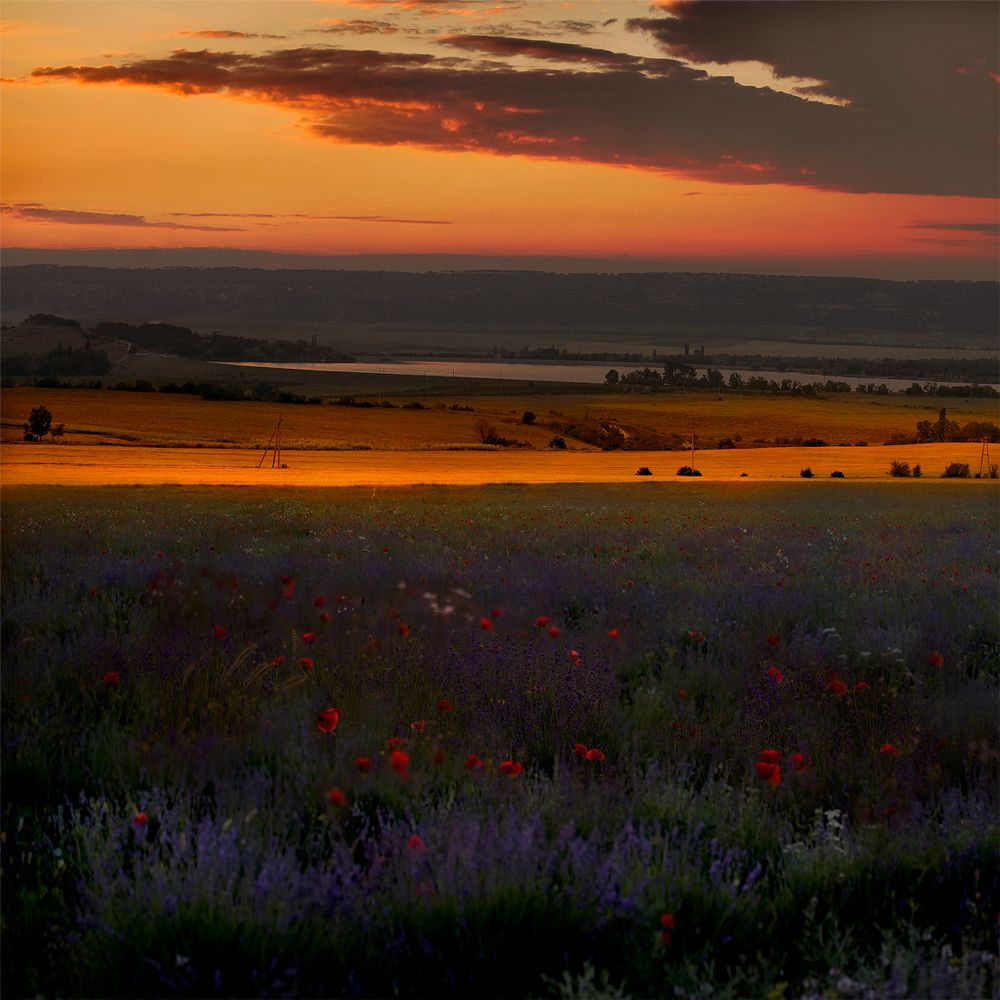 День уходящий