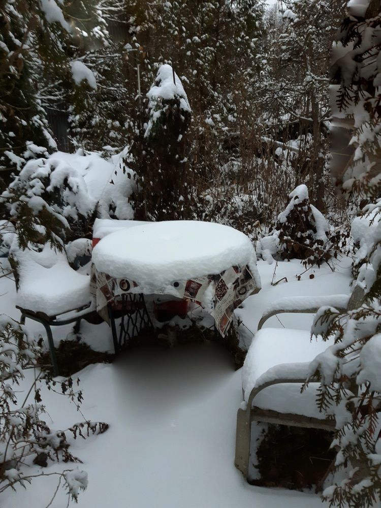 Зимние картинки