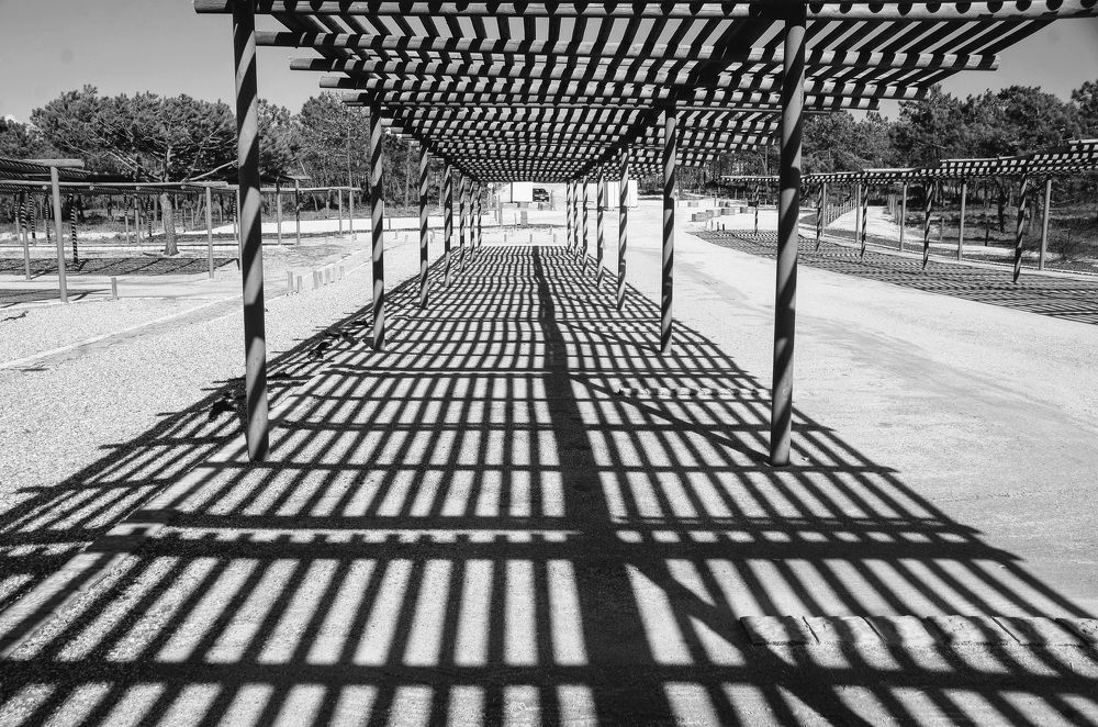 Shadows in the station park