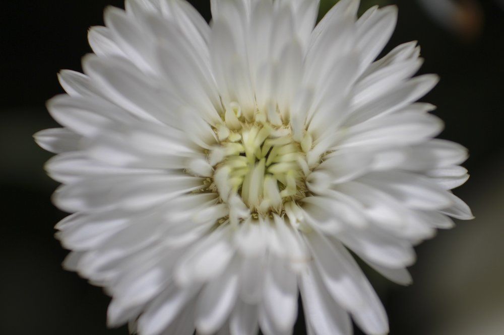 Alive from the inside.