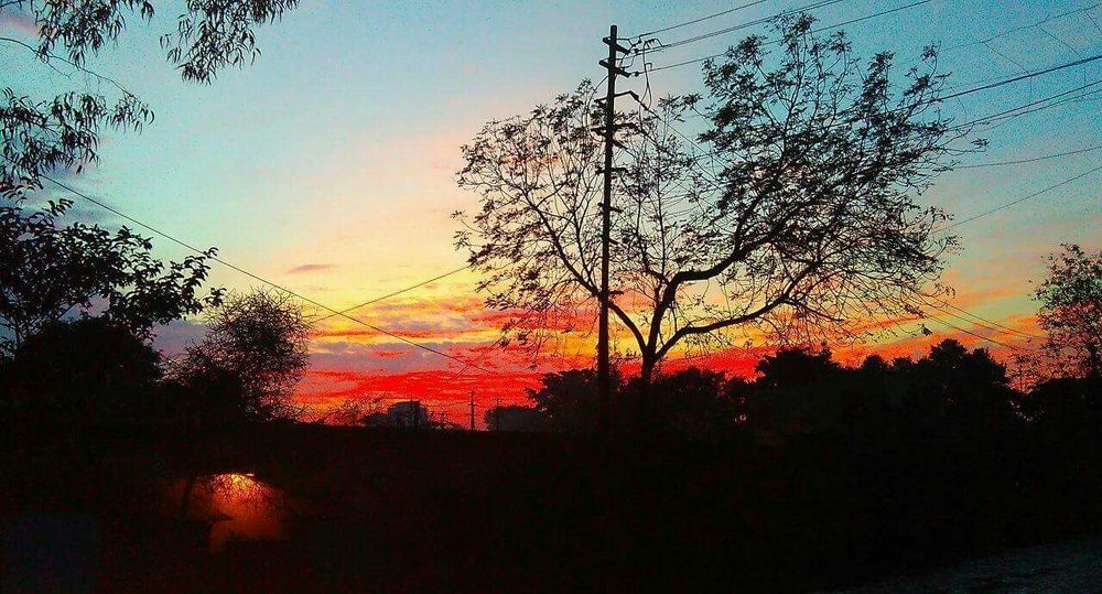 Nature's Beauty