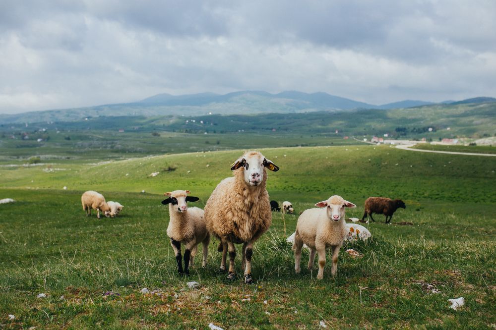 Photograph by Richesse Marina