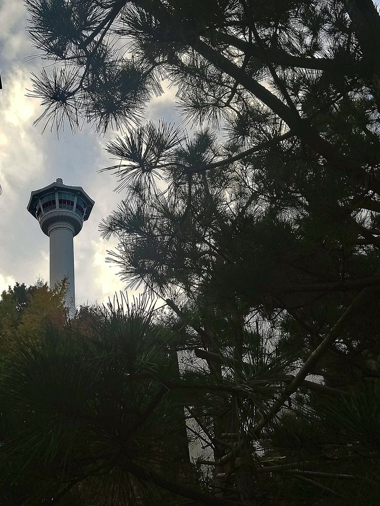 Busan tower.
