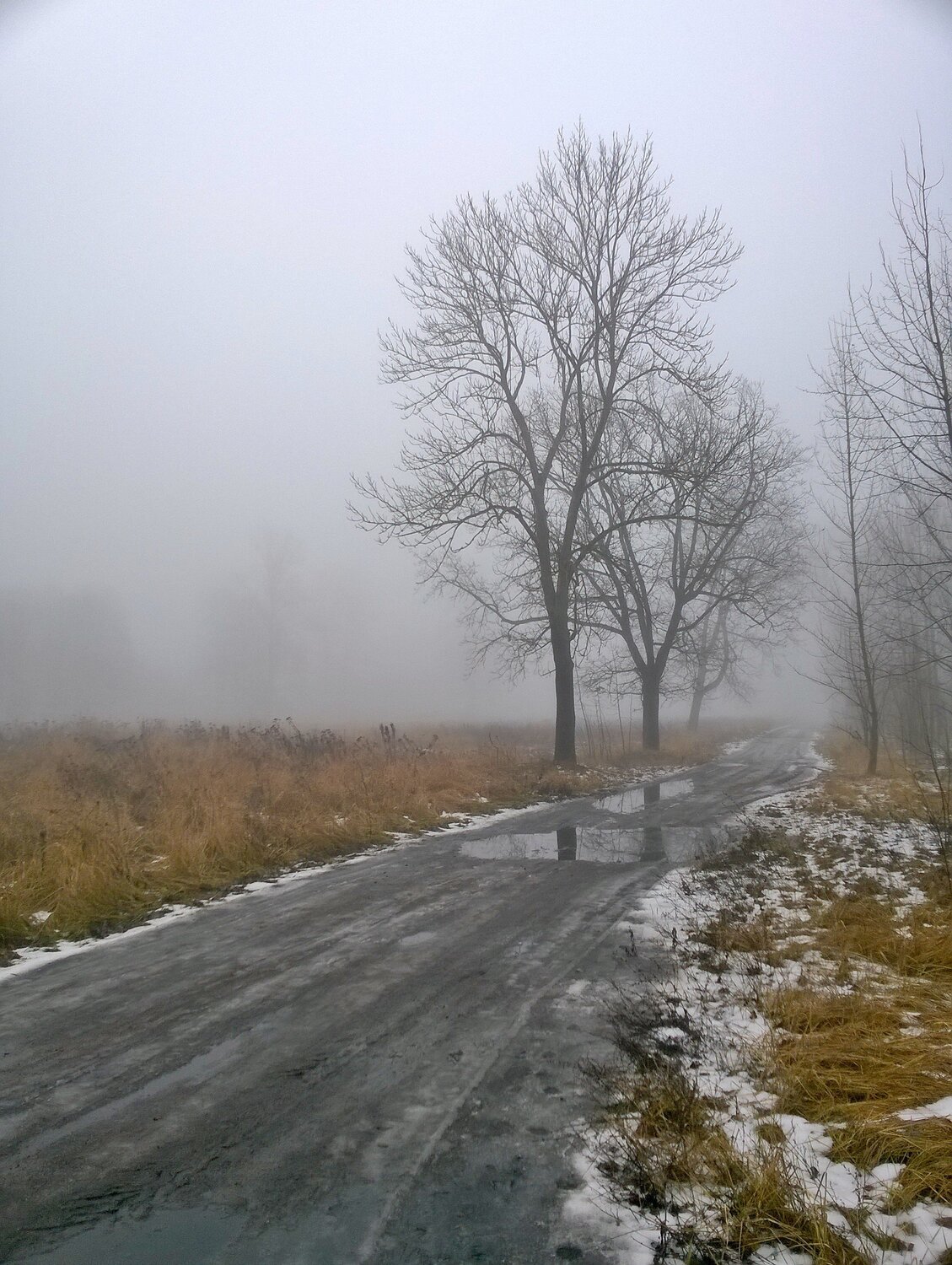 затерянные в тумане