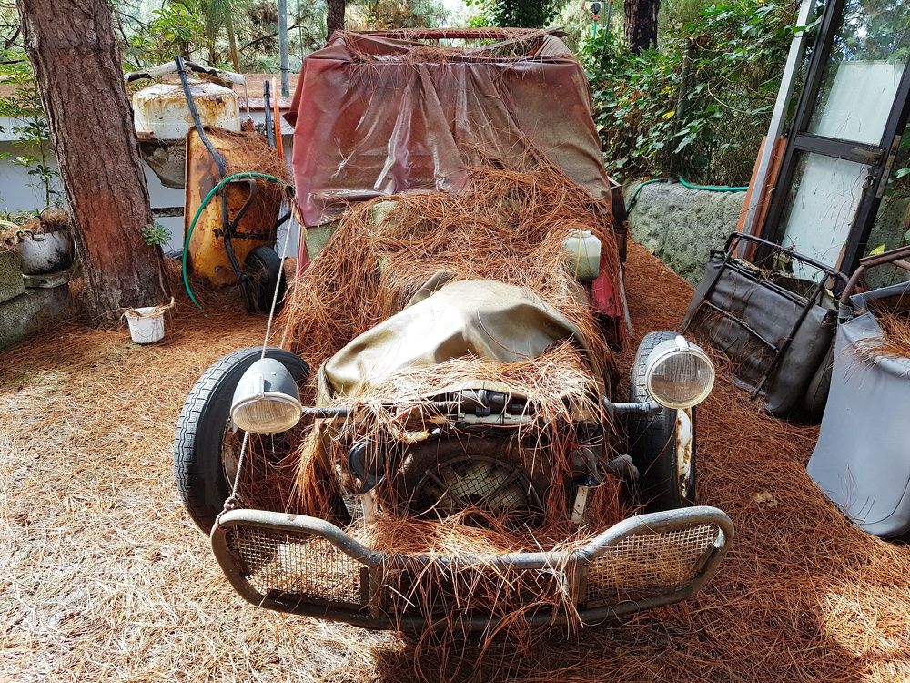 И мы когда-то были рысаками...