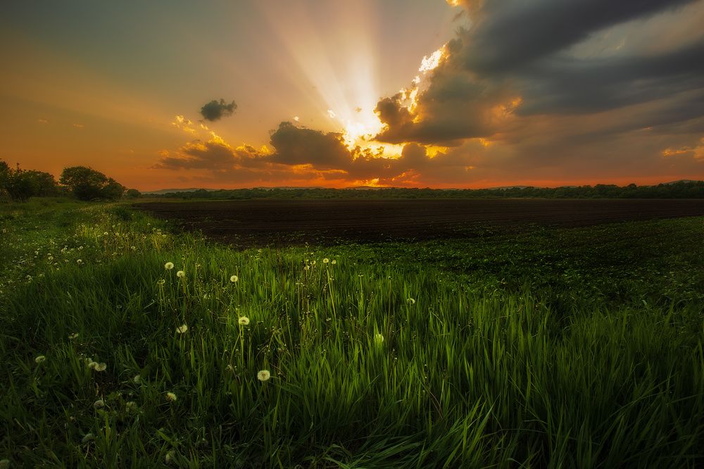 Photograph by Дмитрий Шовтюк