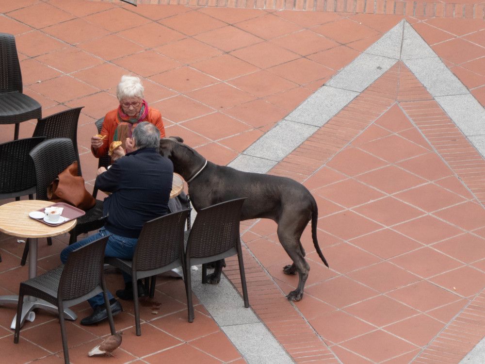 Я тоже есть хочу