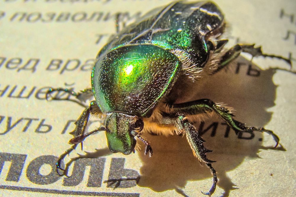 ЗНАНИЕ - СИЛА