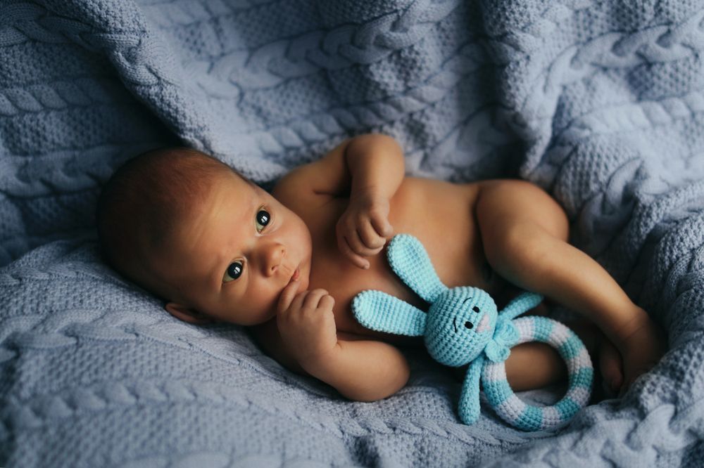 Зайчонок Алеша