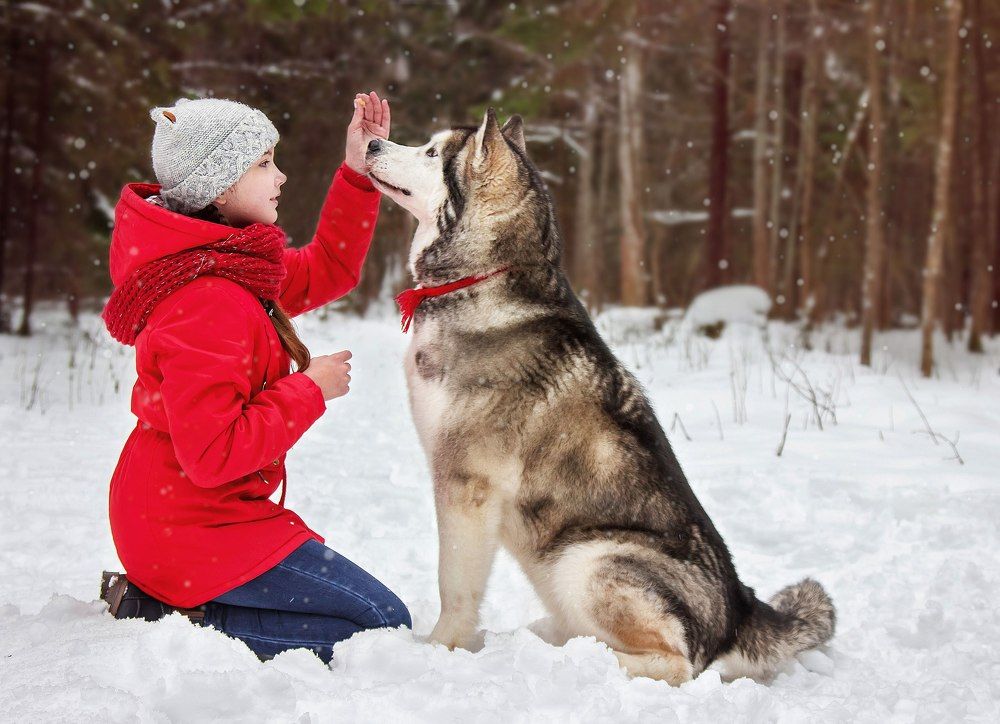 Лучший друг