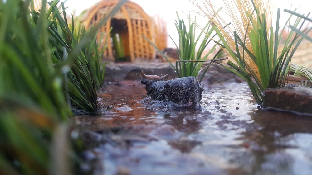 Diorama art