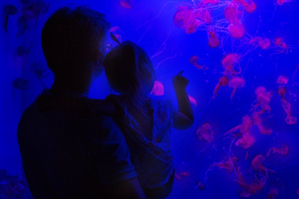 Photograph by Людмила Казакова