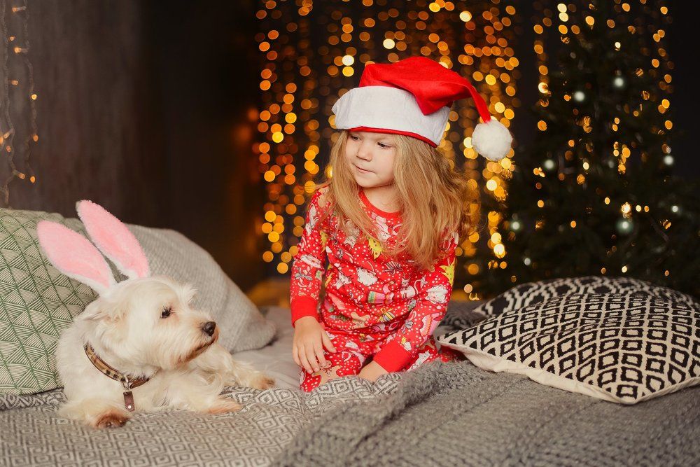 Photograph by Нина Дубровина