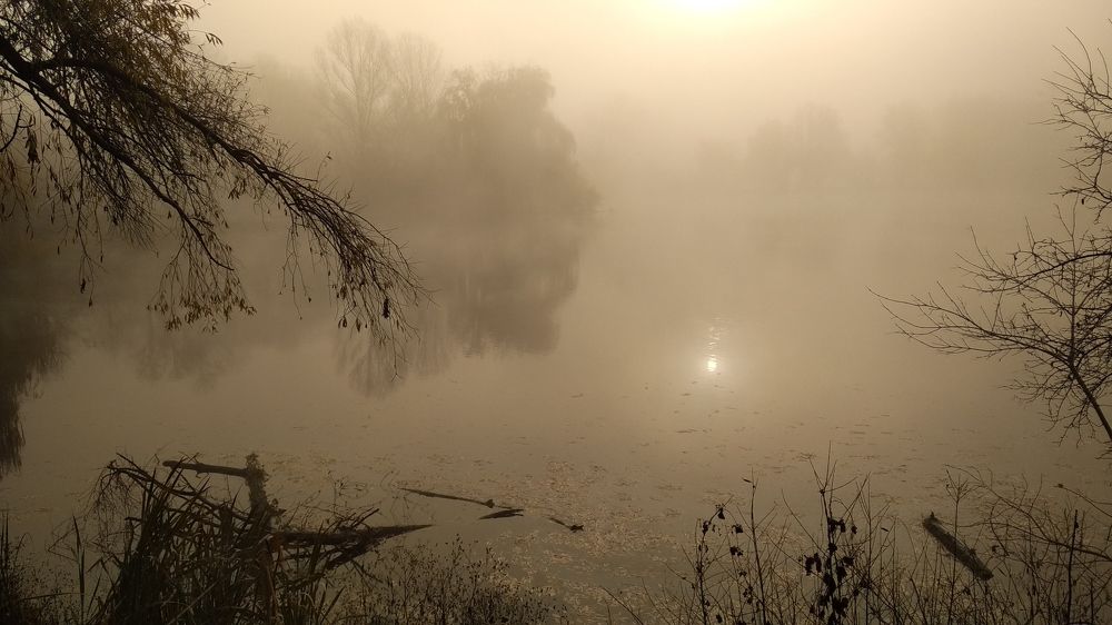Немного солнца в холодной воде