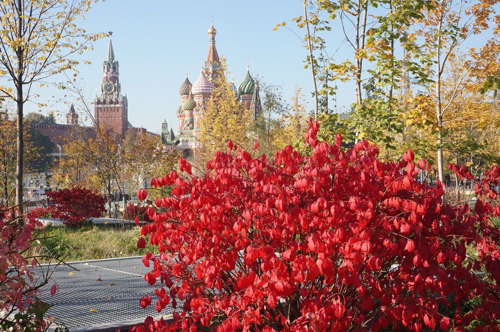 Осень в Зарядье 2018