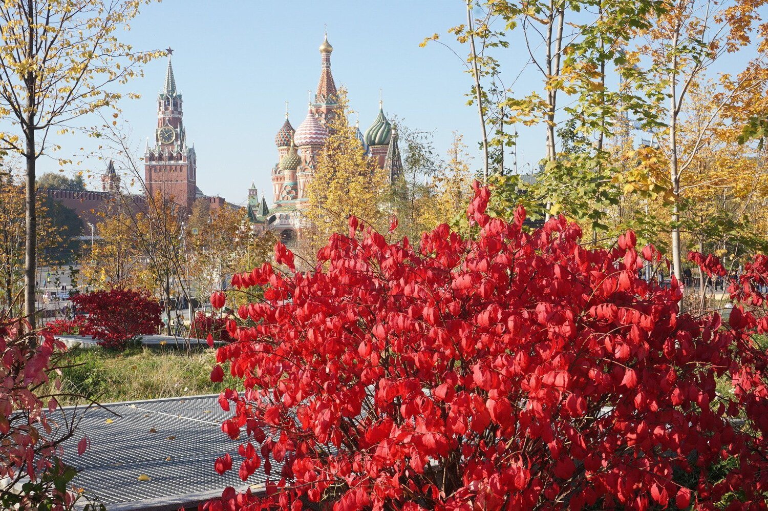 Осень в Зарядье 2018