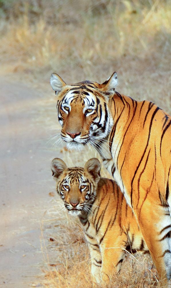 Safest Place on the Earth