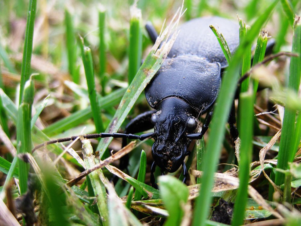 Photograph by Владимир