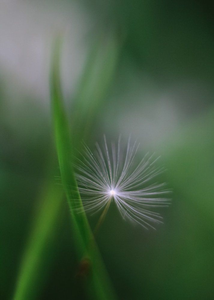 Photograph by Наталья Путято