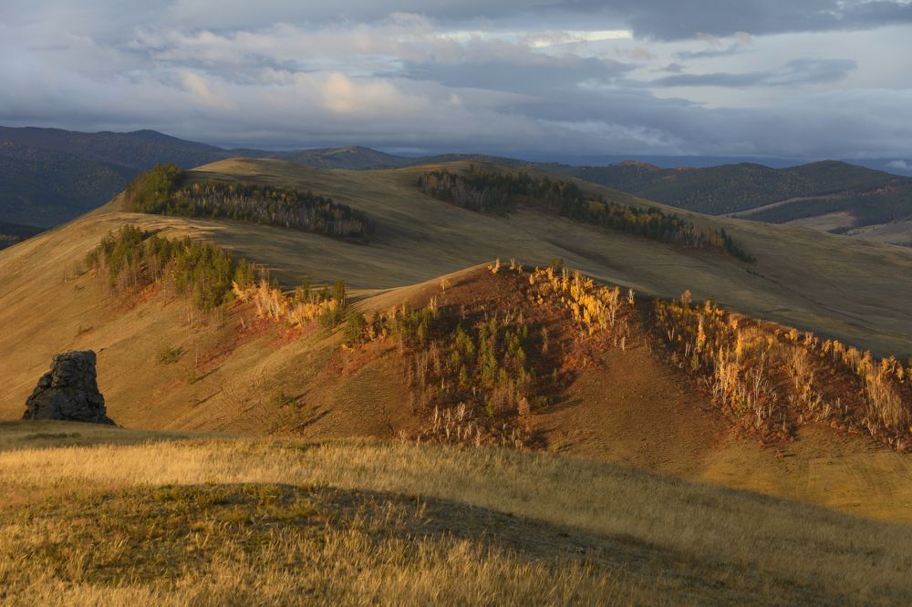 Photograph by Елена Вторушина