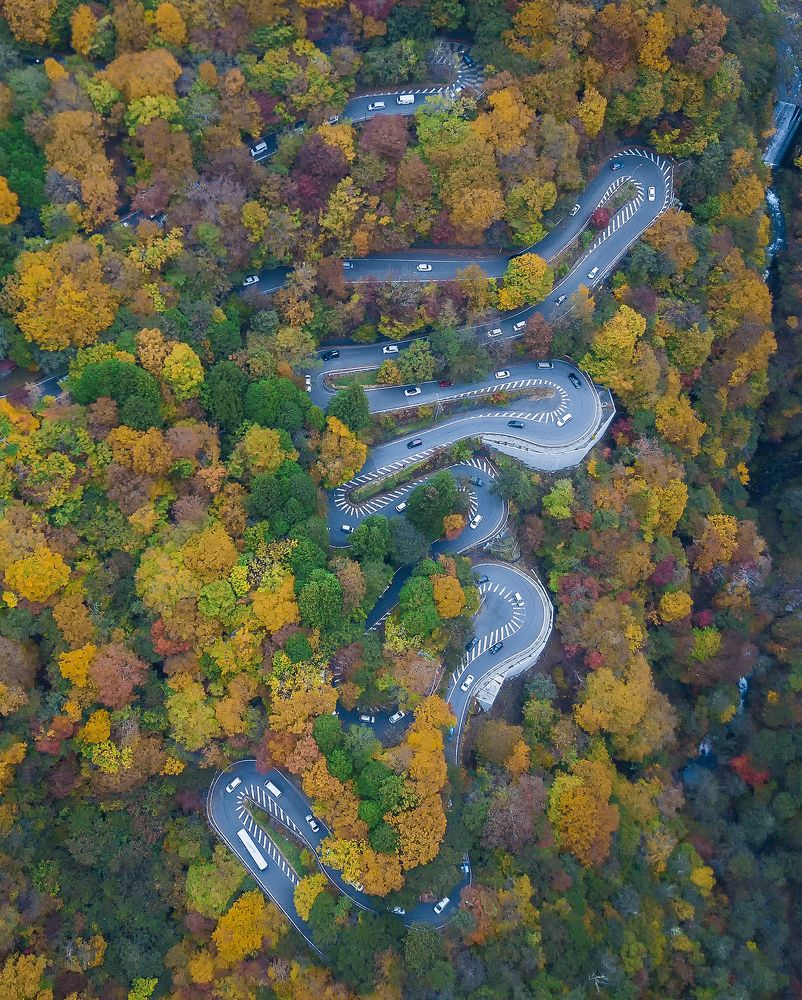 autumn road