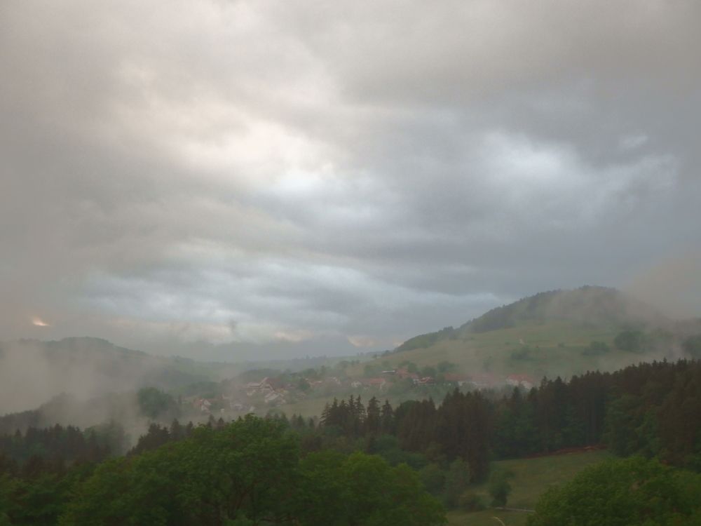evening mood in southern black forest