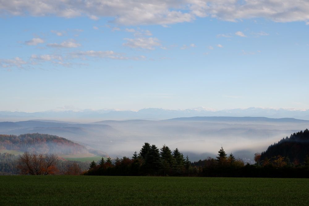evening mood in southern black forest